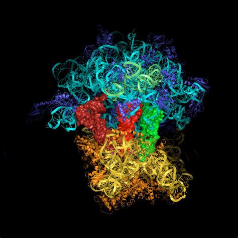 2009 - Venki Ramakrishnan - MRC Laboratory of Molecular Biology