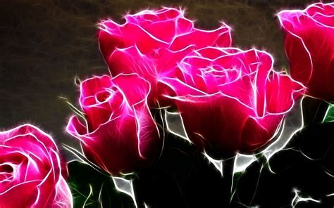 Hot Pink Roses - Roses Wallpaper 11661786 - Fanpop