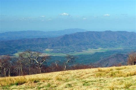 Top 6 Cades Cove Hiking Trails for Your Smoky Mountain Vacation