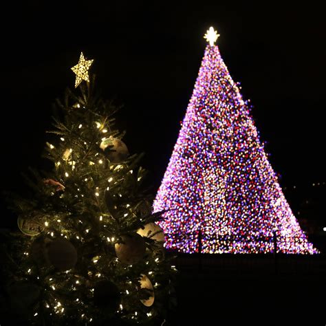 Home - National Christmas Tree Lighting