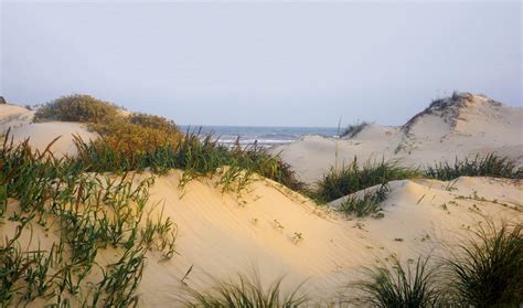 Padre Island National Seashore: Hypersaline Lagoon & History