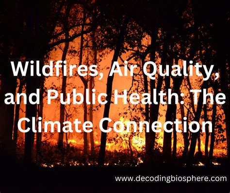 Wildfires, Air Quality, and Public Health: The Climate Connection – Decoding Biosphere