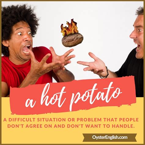 Idiom a hot potato: Meaning and sentence examples