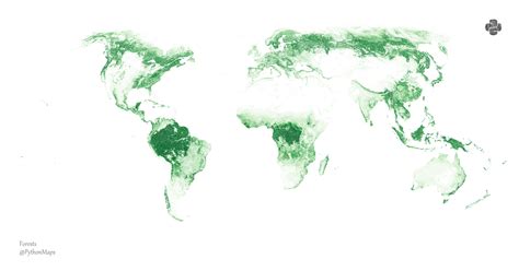 Mapping the World’s Forests: How Green is Our Globe? - City Roma News