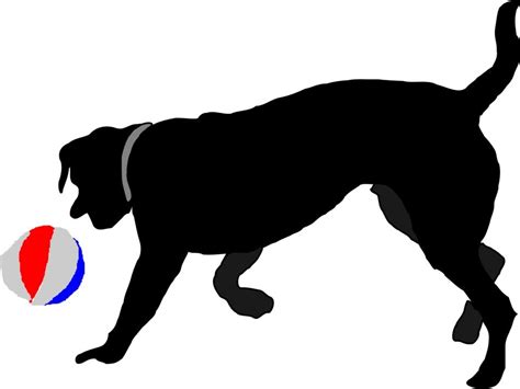 Dog playing with the colorful ball drawing free image download