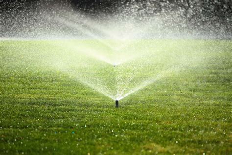 How To Design a Home Sprinkler System (7 Steps)