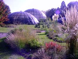 Zurich University Botanical Gardens