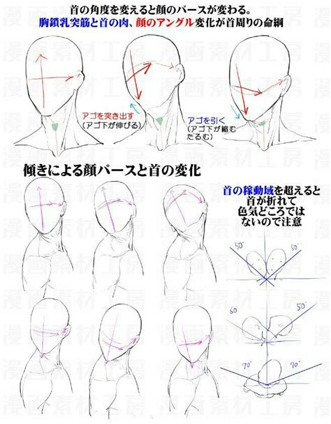 Head and neck position for dynamic poses | Figure drawing reference ...