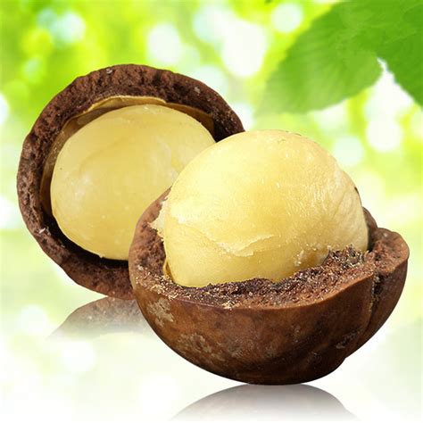 Raw organic macadamia nuts in bulk, with ISO, HACCP, professional supplier,China ALCHEMY price ...