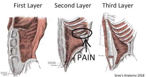 Mahendra Singh Dhoni’s injury: What exactly is a side strain? - Read Health Related Blogs ...