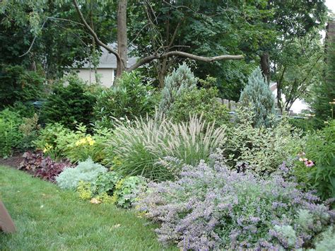 Shrub Border Designs - DIY