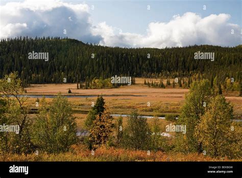 Sarek National Park Stock Photo - Alamy