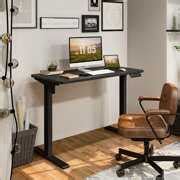 Rent to own FlexiSpot 48" x 24" Home Office Electric Height Adjustable Standing Desk Memory ...