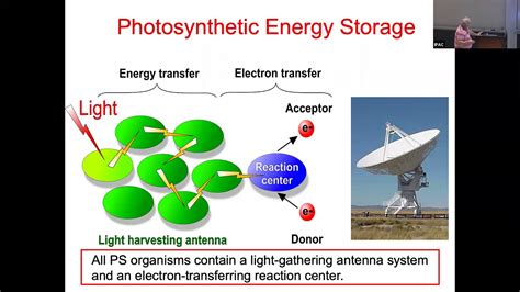 Dr. Robert Blankenship - Evolution of Photosynthesis on Earth - YouTube