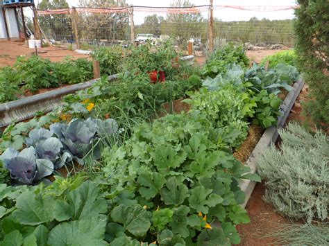 Straw Bale Gardening Instructions and How it Works - Countryside