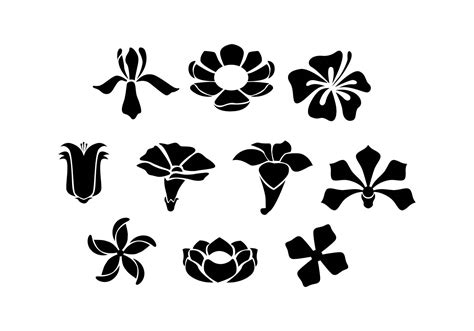 Flowers Silhouette Icon Vector - Download Free Vectors, Clipart 06C