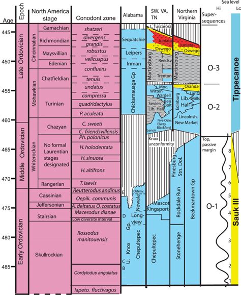 A chronostratigraphic diagram showing major Ordovician units and... | Download Scientific Diagram