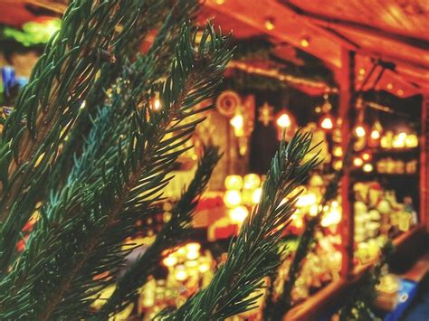 Premium Photo | Close-up of christmas tree by illuminated decorations at night