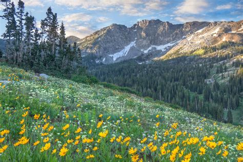 Wasatch Mountains Utah Photograph by Utah Images