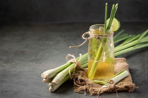 Growing Lemongrass Indoors | The Indoor Gardens