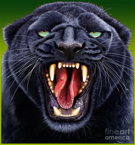 Panther Digital Art by Jurek Zamoyski - Pixels