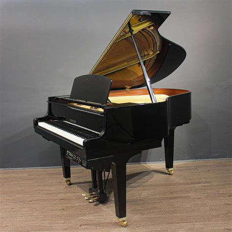 Micro Grand Piano | lupon.gov.ph