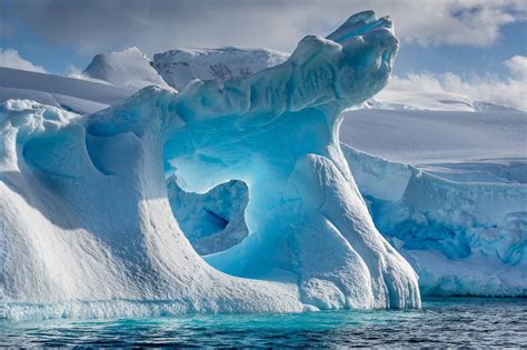 How You Can Help Preserve The Polar Regions | Fred.\ Holidays