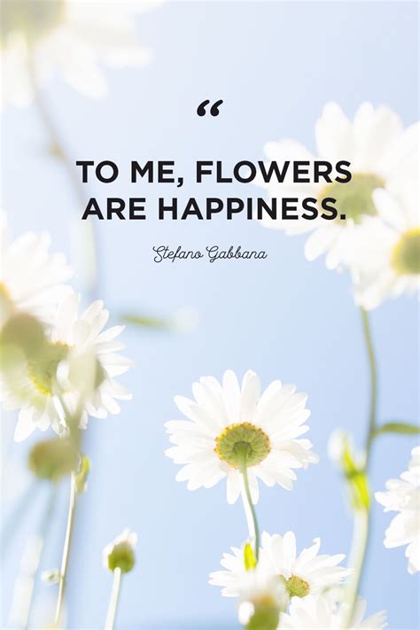 Aesthetic Flowers Quotes - Largest Wallpaper Portal