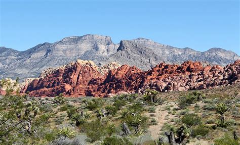 7 Top-Rated Hikes in Red Rock Canyon National Conservation Area | PlanetWare