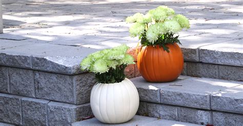 Pumpkin Planters Are The Perfect Fall Decorations For Your House