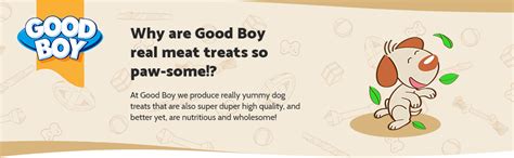 Good Boy - Tender Beef Fillets - Dog Treats - Made with 100% Natural Beef - 90 g ℮ - No ...