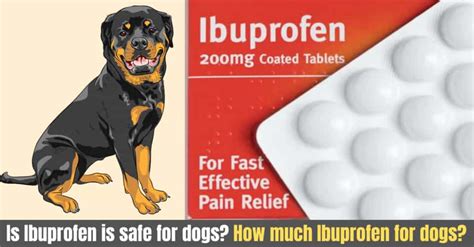 How much Ibuprofen is safe for dogs? - Side effects