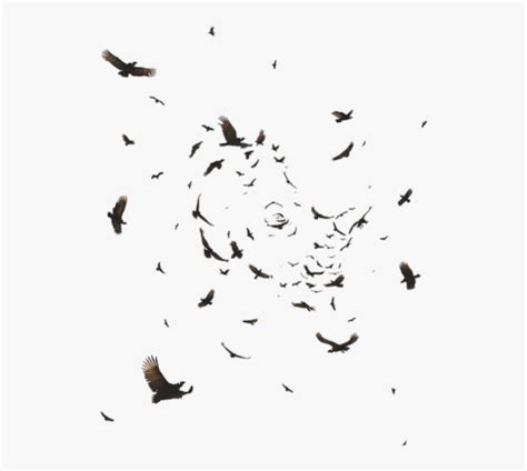 Flock Of Ravens Flying, HD Png Download , Transparent Png Image - PNGitem