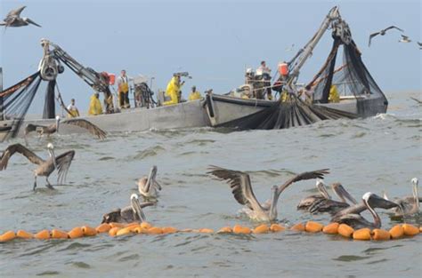 ‘America’s Third Coast’ book series broadens the audience for coastal ...