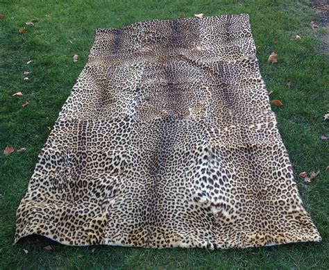 Vintage Leopard Skin Rug | Collectors Weekly