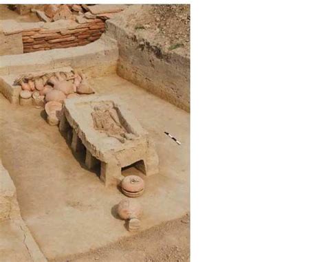 India’s largest known burial site is 3,800 yrs old, confirms carbon dating | India News - Times ...