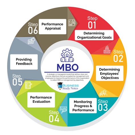 External Audit | Process of Conducting an External Audit