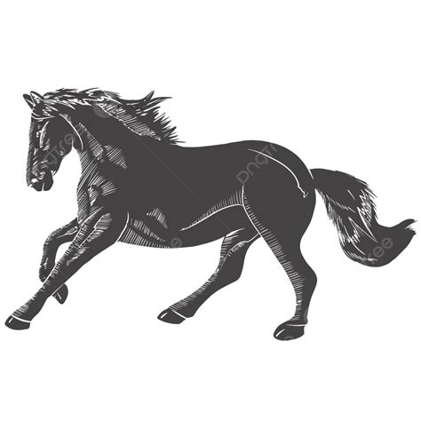 Stallion Horse Silhouette Vector PNG, Stallion Horse Silhouette, Stallion, Horse Png, Horse ...