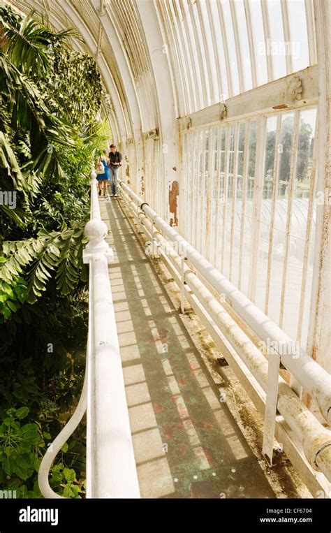 Interior of the Palm House, the most important surviving Victorian iron and glass structure in ...