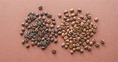 Are Specialty Coffee Beans Worth the Price? Should you buy them ...