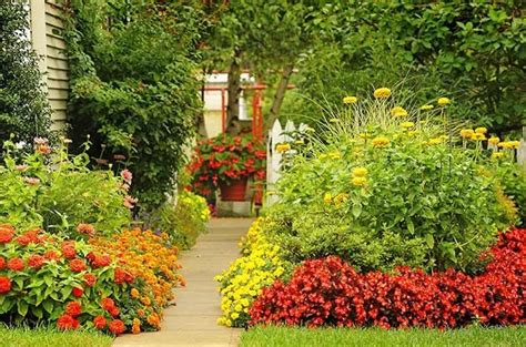 Gardening Basics to Keep Plants Healthy - Birds and Blooms