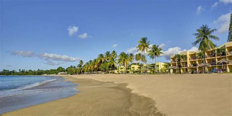 A Complete Guide to Starfish Tobago Resort - Caribbean Warehouse