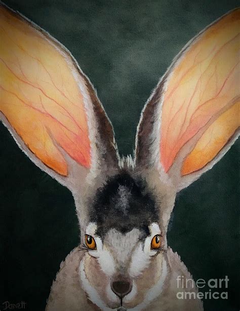 Oh My What Big Ears You Have- The Jackrabbit Painting by Danett Britt ...