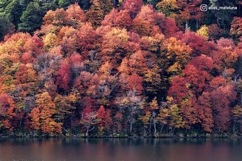 Landscape and Nature Photography in Chile on Behance