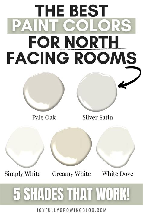 51+ best sherwin williams colors for north facing rooms - MunrowLavin