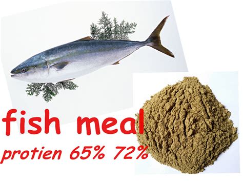 Fish Meal Animal Feed : FISH MEAL FOR ANIMAL FEED - US $400-750 - Usually 25kg ... - Most fish ...