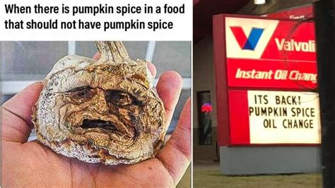 10 Pumpkin Spice Memes Far Better Than A Fall-Themed Latte | Know Your Meme