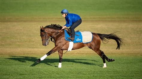 Sheikh Mohammed’s horse is officially ‘best horse in the world’ - Esquire Middle East