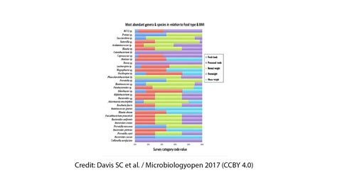 Gut microbiome diversity appears more influenced by diet than body mass ...