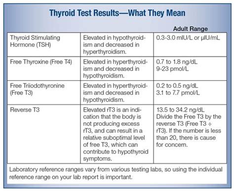 Tsh Test Results Fasting Diet - danews